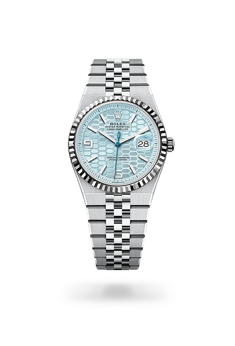 rolex Land-Dweller 36 in Platinum, m127236-0001 - david m robinson