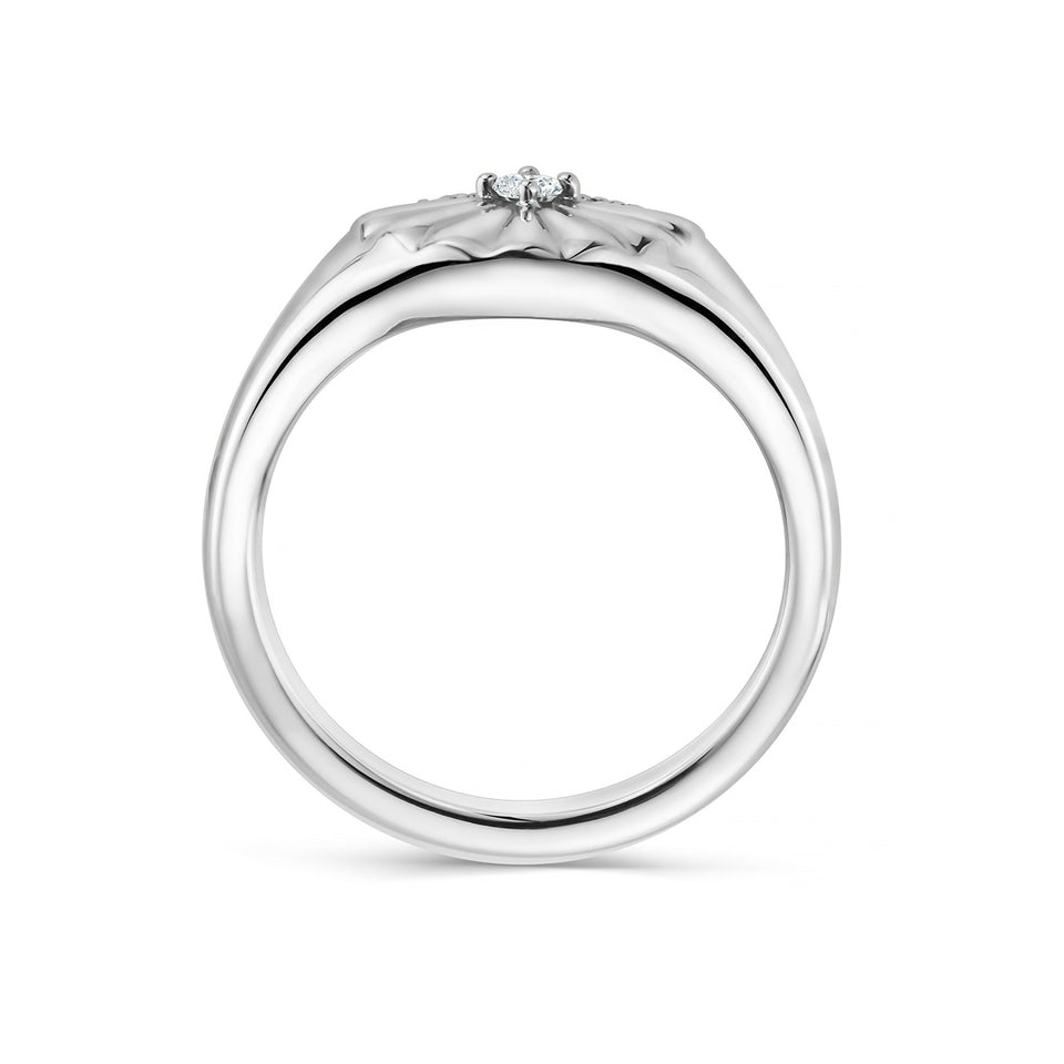 Alba Platinum Diamond Ring at David M Robinson