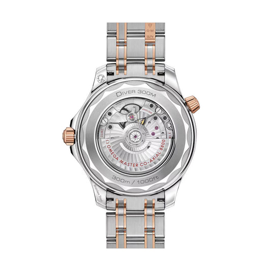 OMEGA Seamaster Diver 300M Co-Axial Master Chronometer 42mm Watch