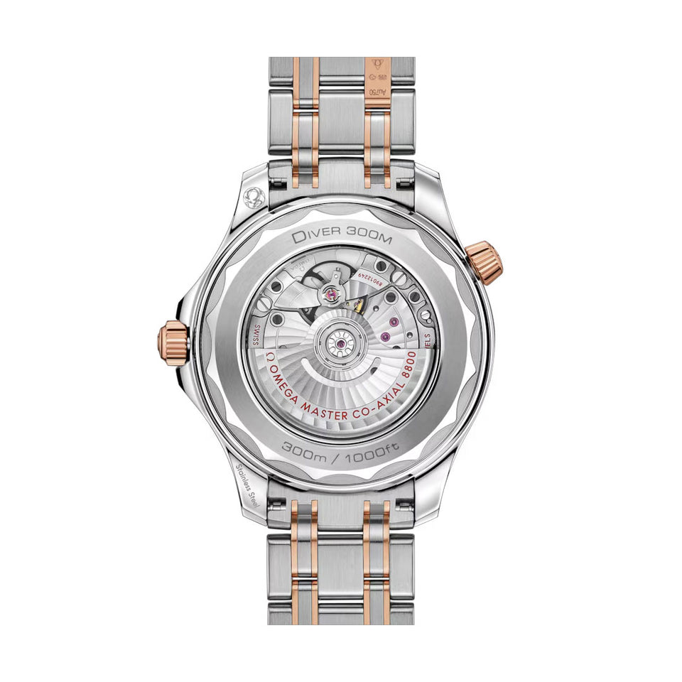 OMEGA Seamaster Diver 300M Co-Axial Master Chronometer 42mm Watch