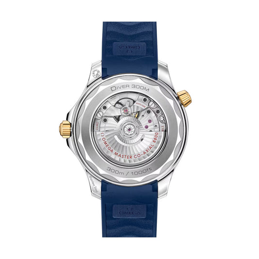 OMEGA Seamaster Diver 300M Master Chronometer 42mm Watch O21022422003001 at DMR and the OMEGA Boutique Liverpool