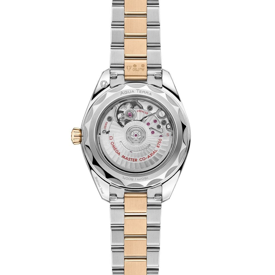 OMEGA Seamaster Aqua Terra 30MM Watch at David M Robinson