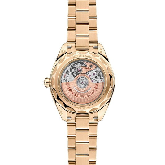 OMEGA Seamaster Aqua Terra 30MM Watch at David M Robinson