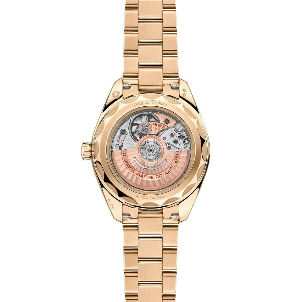 OMEGA Seamaster Aqua Terra 30MM Watch at David M Robinson