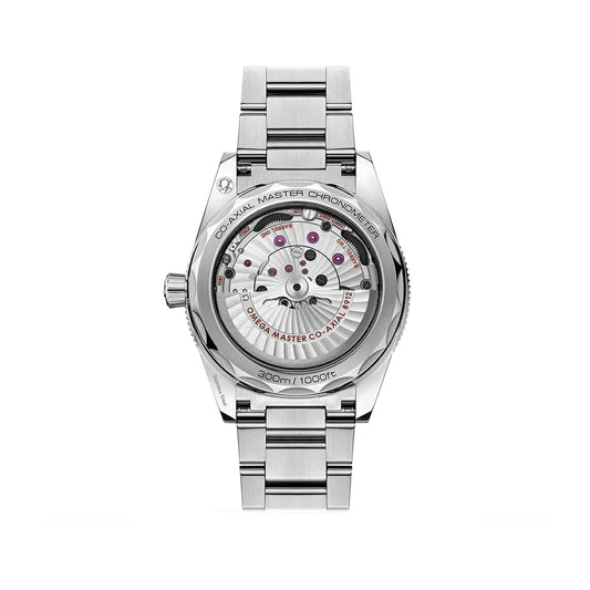 OMEGA Seamaster 300 Co-Axial Master Chronometer 41mm Watch