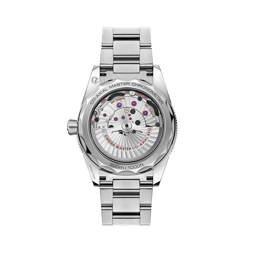 OMEGA Seamaster 300 Co-Axial Master Chronometer 41mm Watch