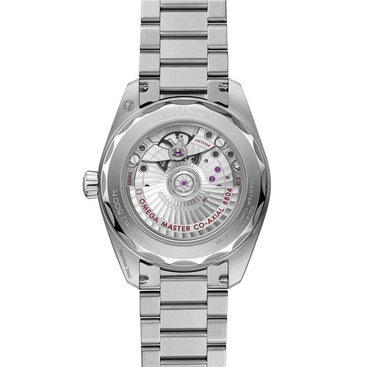 OMEGA Seamaster Railmaster 38mm Watch at David M Robinson