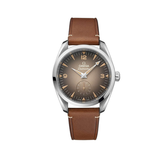 OMEGA Seamaster Railmaster 38mm Watch at David M Robinson