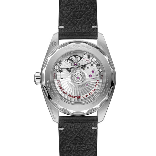 OMEGA Seamaster Railmaster Co-Axial Master Chronometer 38mm Watch at DMR and the OMEGA Boutique Liverpool