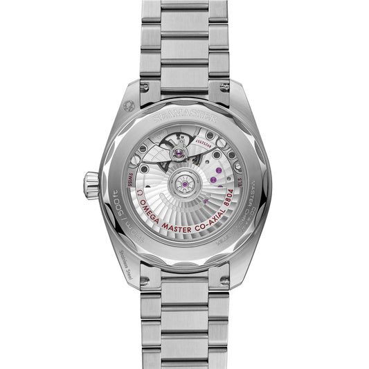 OMEGA Seamaster Railmaster Co-Axial Master Chronometer 38mm Watch at DMR and the OMEGA Boutique Liverpool