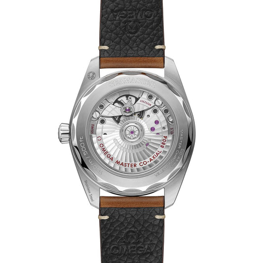 OMEGA Seamaster Railmaster Co-Axial Master Chronometer 38mm Watch at DMR and the OMEGA Boutique Liverpool