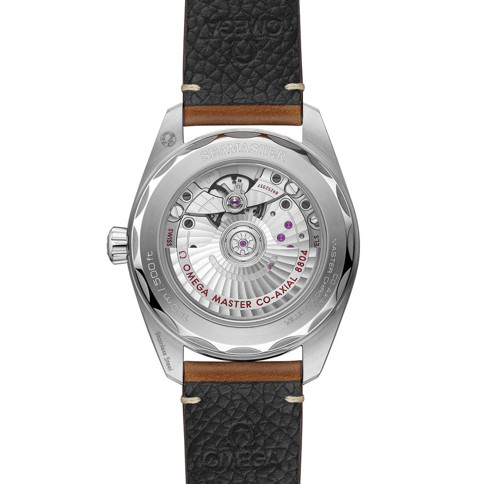 OMEGA Seamaster Railmaster Co-Axial Master Chronometer 38mm Watch at DMR and the OMEGA Boutique Liverpool
