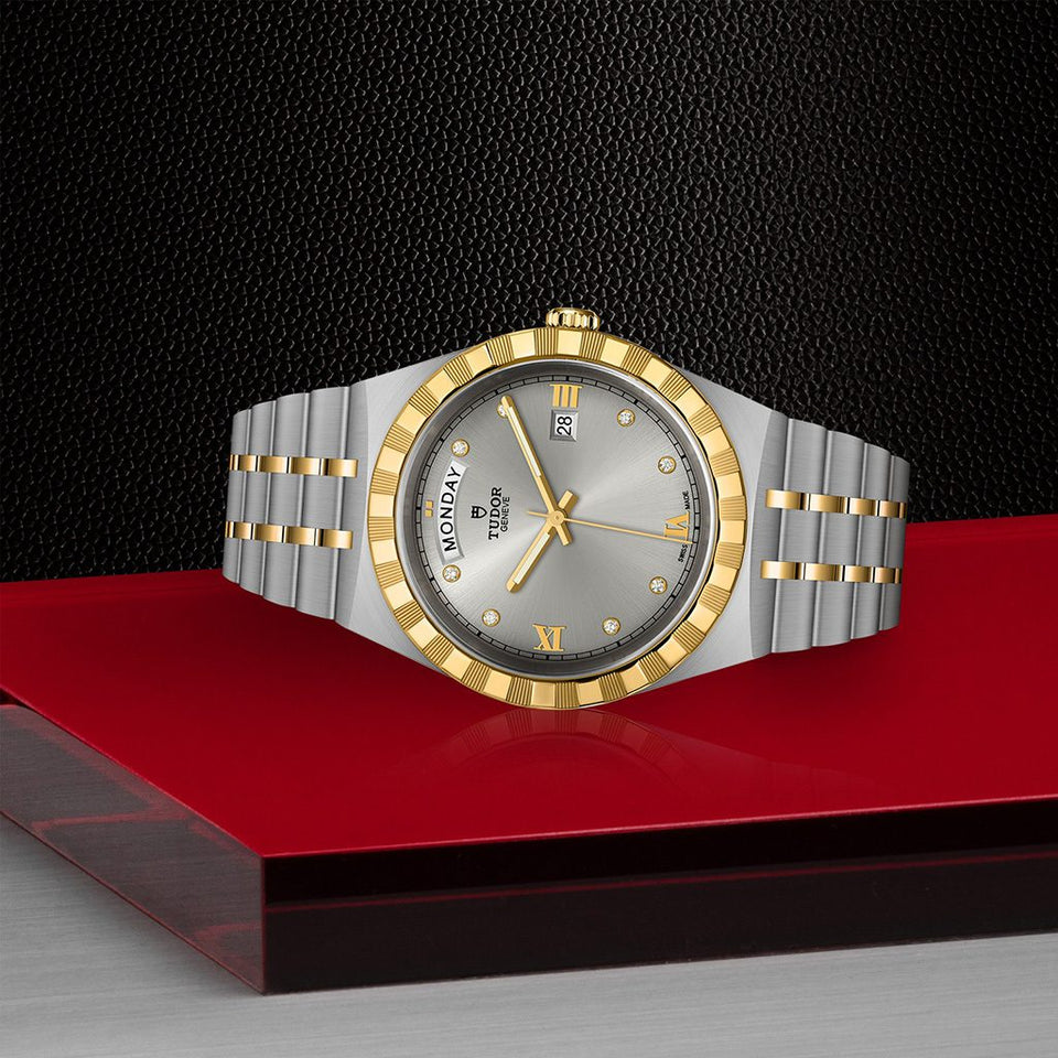 TUDOR Royal Watches at David M Robinson