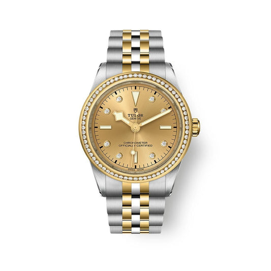 TUDOR Black Bay ONE 39 S&G Automatic Watch at David M Robinson