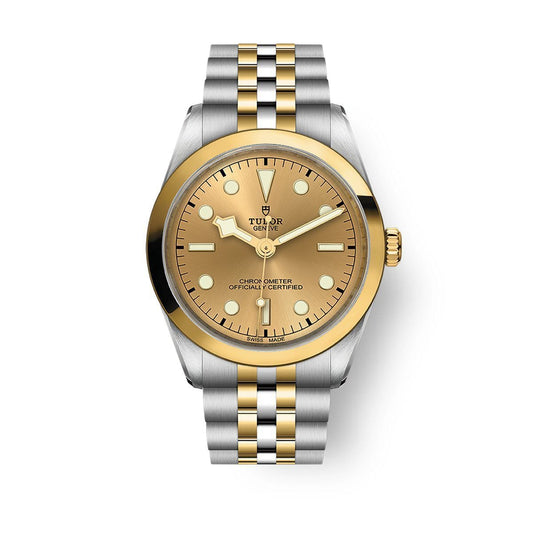 TUDOR Black Bay ONE 36 S&G Automatic Watch at David M Robinson