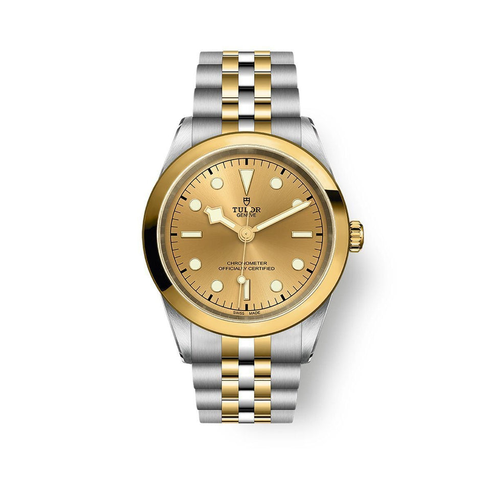 TUDOR Black Bay ONE 41 S&G Automatic Watch at David M Robinson