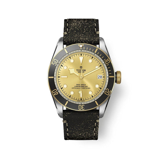 TUDOR Black Bay S&G Automatic 41mm Watch at David M Robinson