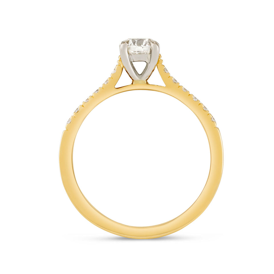 18ct Yellow Gold Round Brilliant Cut Diamond Solitaire Engagement Ring at David M Robinson