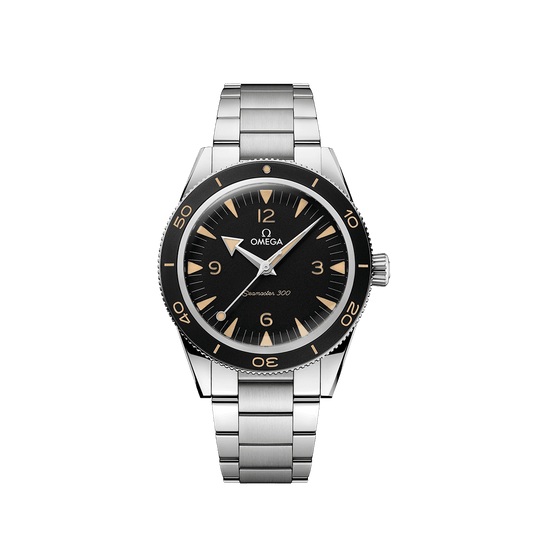 OMEGA Seamaster 300 Co-Axial Master Chronometer 41mm Watch