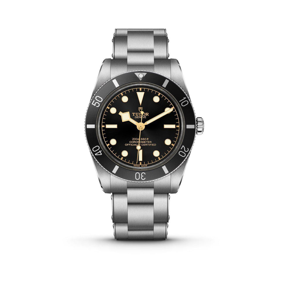 TUDOR Black Bay 54 Automatic Watch at David M Robinson