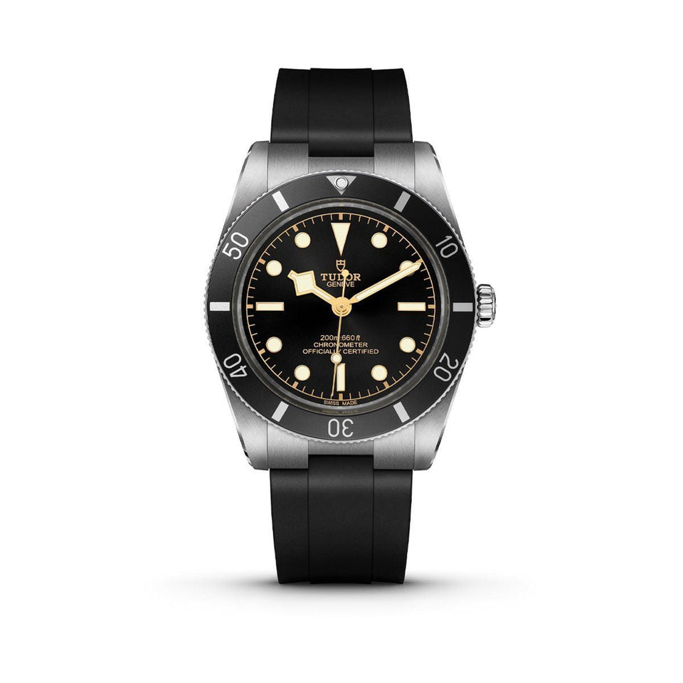 TUDOR Black Bay 54 Automatic Watch at David M Robinson