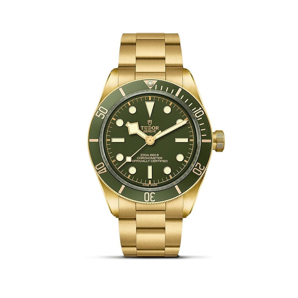 TUDOR Black Bay 58 18K Automatic Watch at David M Robinson