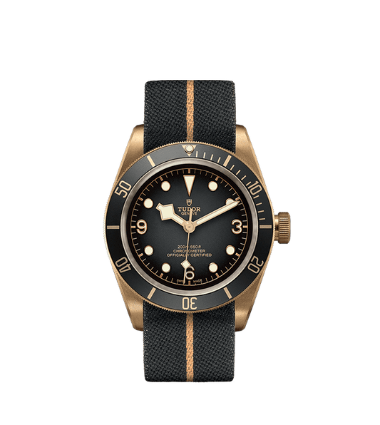 TUDOR Black Bay Bronze Automatic 43mm Watch at David M Robinson