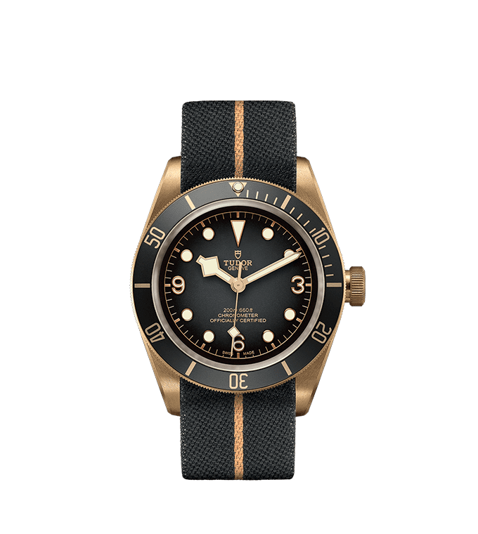 TUDOR Black Bay Bronze Automatic 43mm Watch at David M Robinson