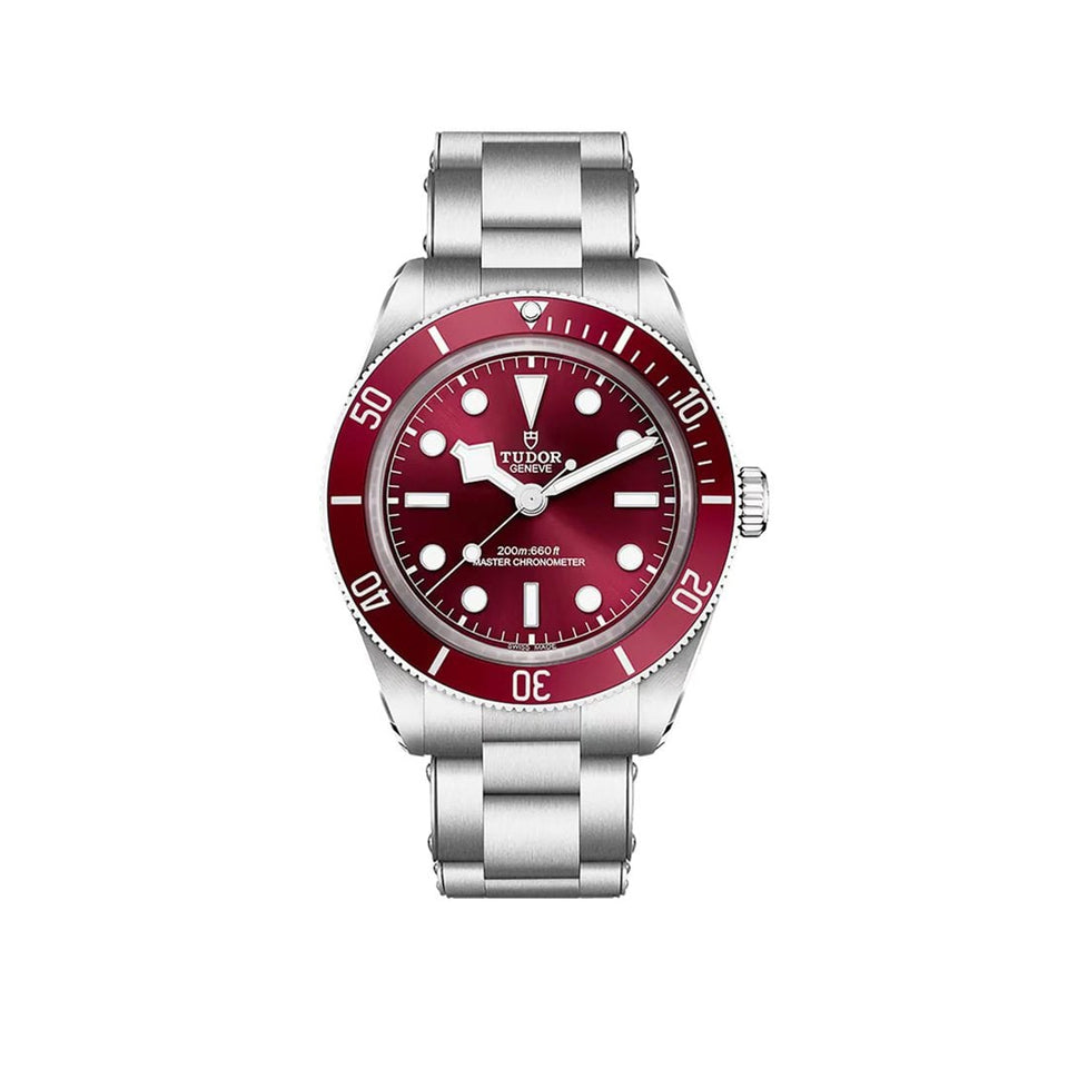TUDOR Black Bay 58 Automatic 39mm Watch at David M Robinson