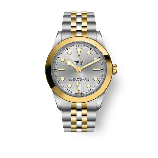 TUDOR Black Bay ONE 39 S&G Automatic Watch at David M Robinson