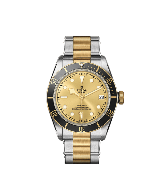 TUDOR Black Bay S&G Automatic 41mm Watch at David M Robinson