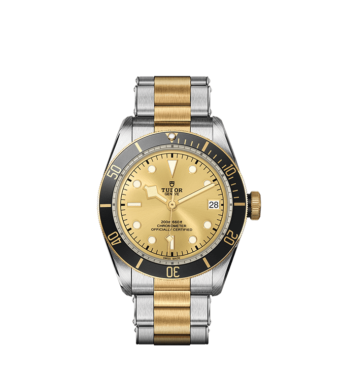 TUDOR Black Bay S&G Automatic 41mm Watch at David M Robinson