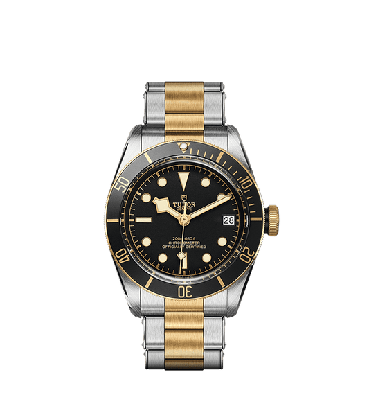 TUDOR Black Bay S&G Automatic 41mm Watch at David M Robinson