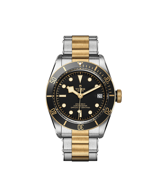 TUDOR Black Bay S&G Automatic 41mm Watch at David M Robinson