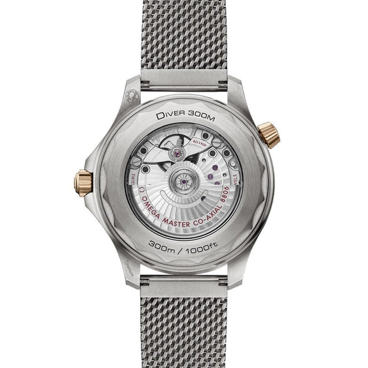 OMEGA Seamaster Diver 300m at David M Robinson