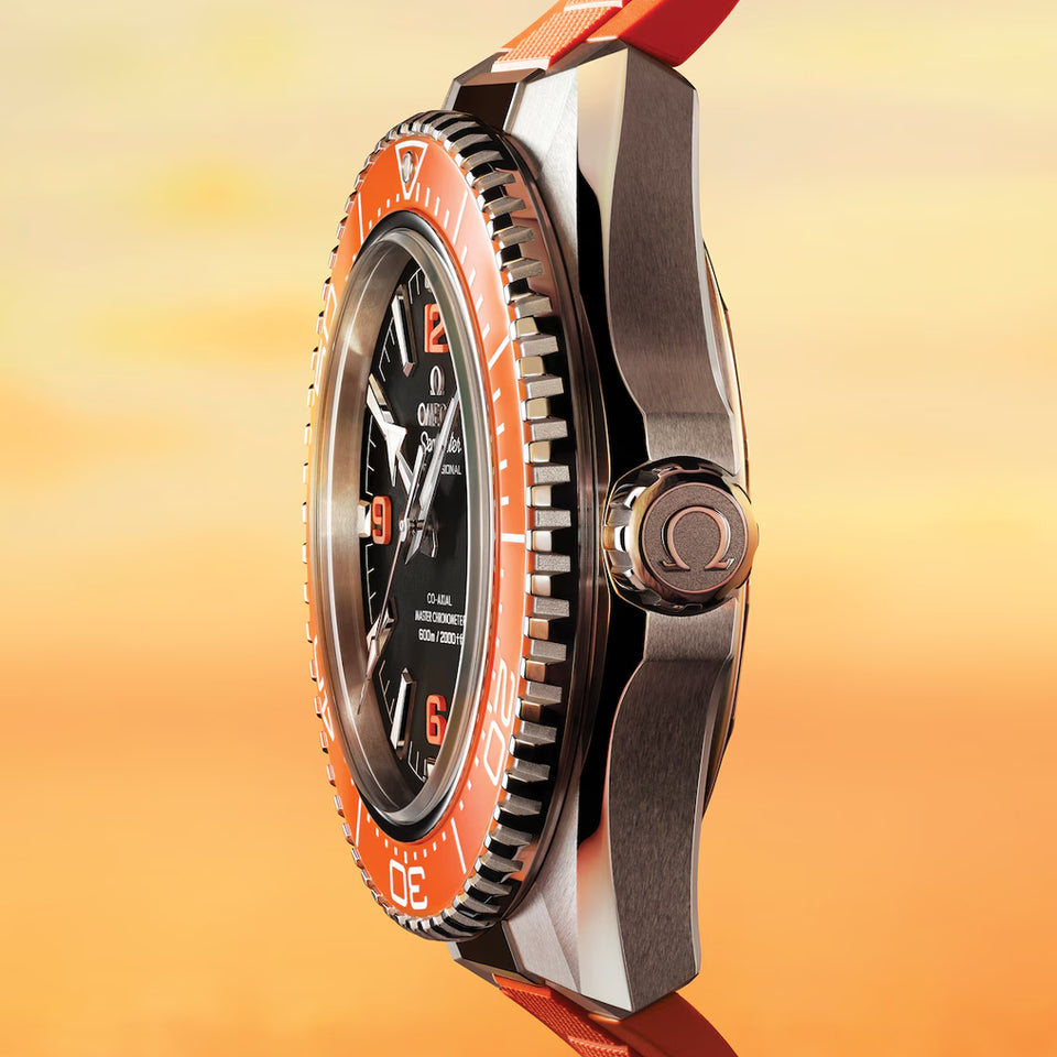 OMEGA Seamaster Planet Ocean 600M 42mm Automatic Watch at David M Robinson