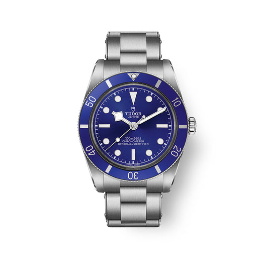 TUDOR Black Bay 54 Automatic Watch