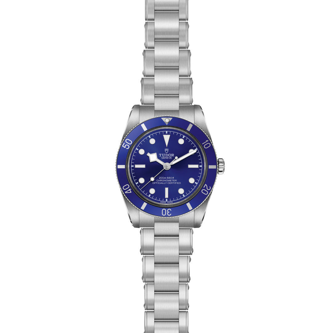 TUDOR Black Bay 54 Watch at David M Robinson