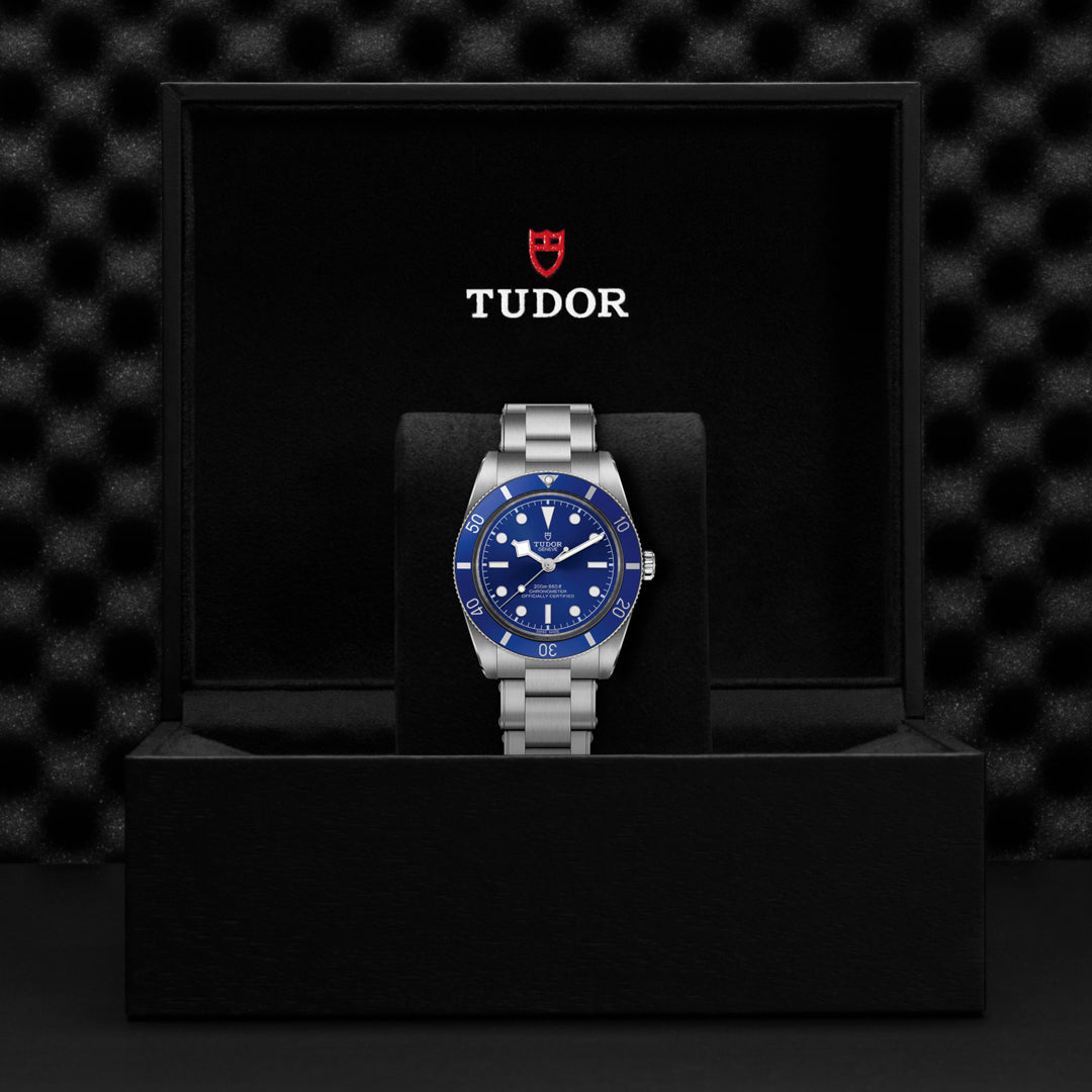TUDOR Black Bay 54 Watch at David M Robinson