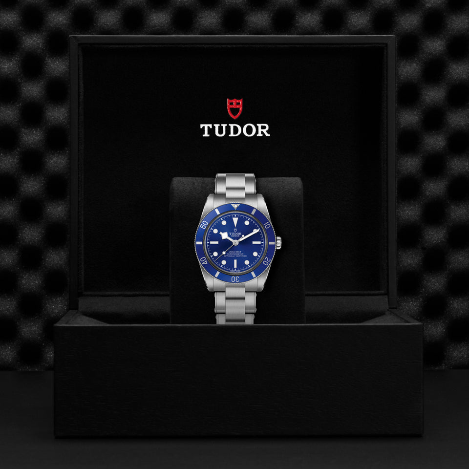 TUDOR Black Bay 54 Automatic Watch