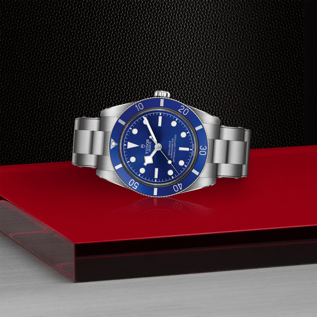 TUDOR Black Bay 54 Watch at David M Robinson