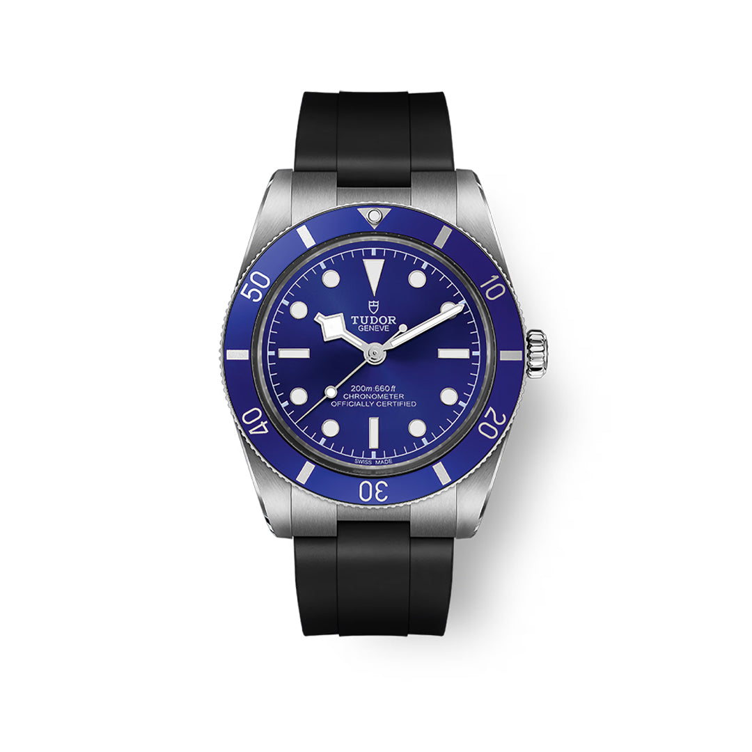 TUDOR Black Bay 54 Watch at David M Robinson