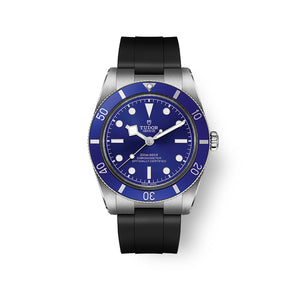 TUDOR Black Bay 54 Automatic Watch