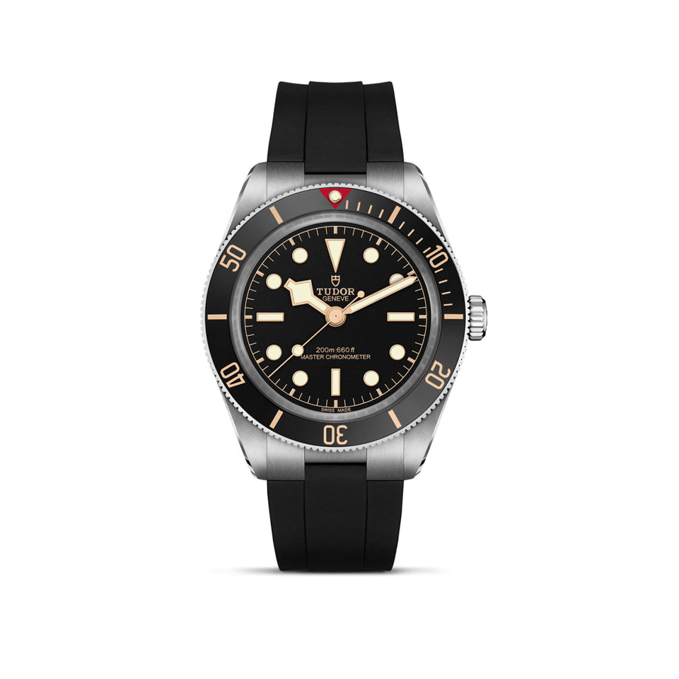 TUDOR Black Bay 58 Automatic 39mm Watch at David M Robinson