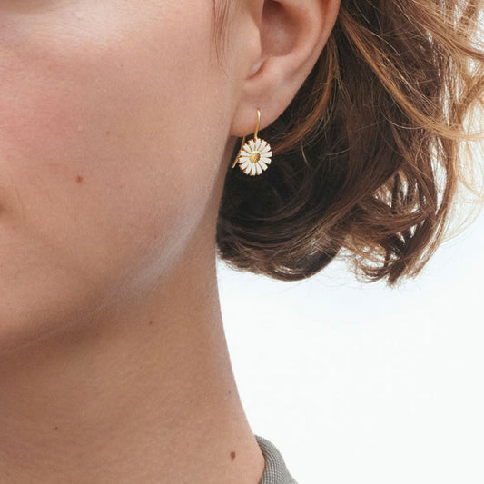 Gold Plated Sterling Silver Daisy Earrings at David M Robinson
