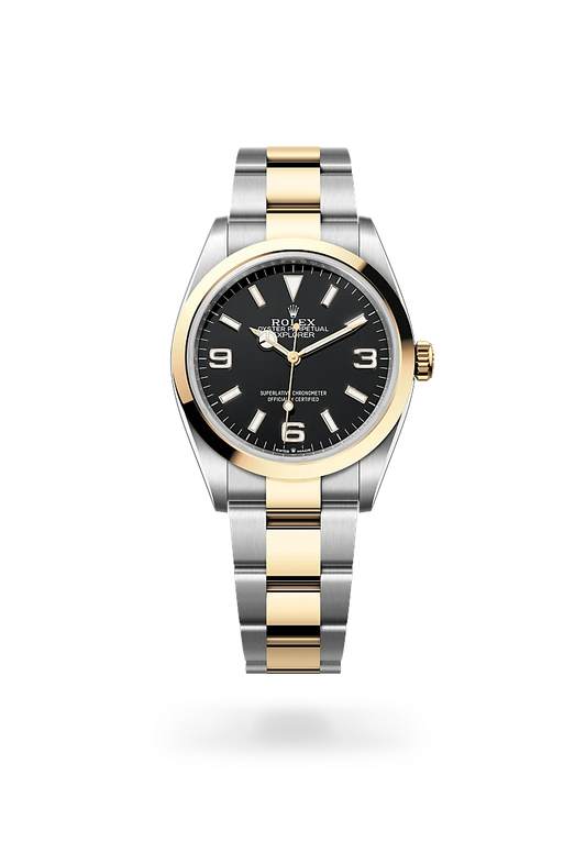 rolex Explorer 36 in Yellow Rolesor - combination of Oystersteel and yellow gold, m124273-0001 - david m robinson