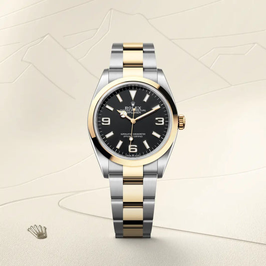rolex Explorer 36 in Yellow Rolesor - combination of Oystersteel and yellow gold, m124273-0001 - david m robinson