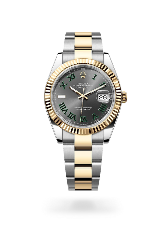 rolex Datejust 41 in Yellow Rolesor - combination of Oystersteel and yellow gold, m126333-0019 - david m robinson