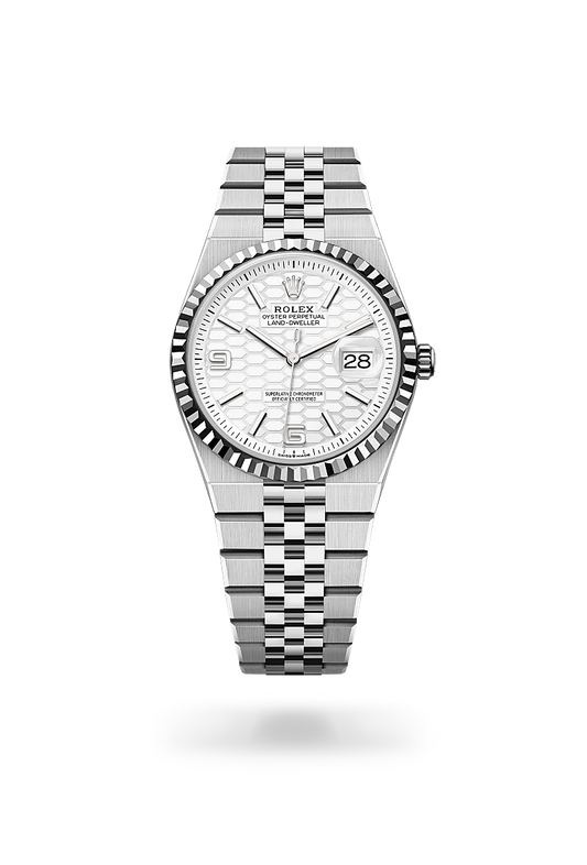 rolex Land-Dweller 36 in White Rolesor - combination of Oystersteel and white gold, m127234-0001 - david m robinson
