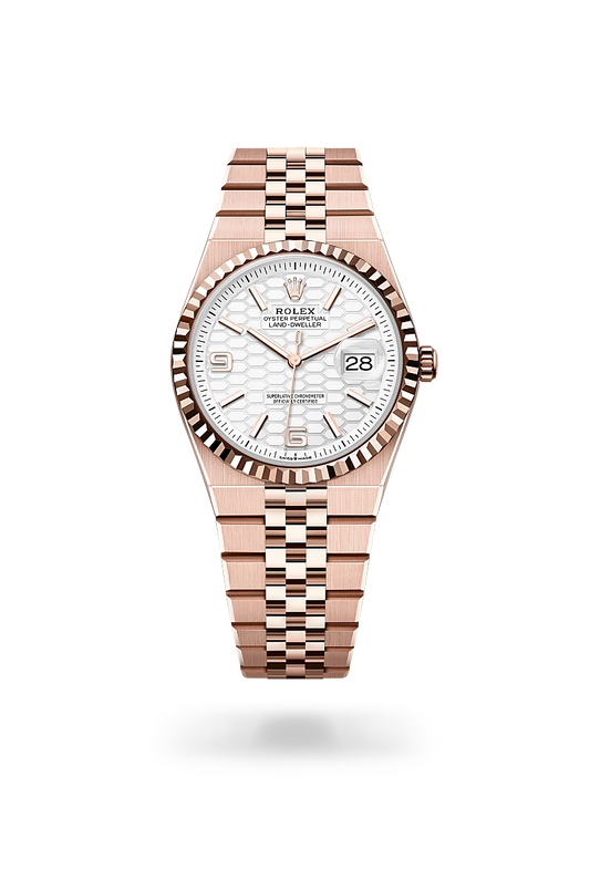 rolex Land-Dweller 36 in 18 ct Everose gold, m127235-0001 - david m robinson